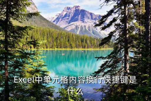 Excel中單元格內容換行快捷鍵是什么