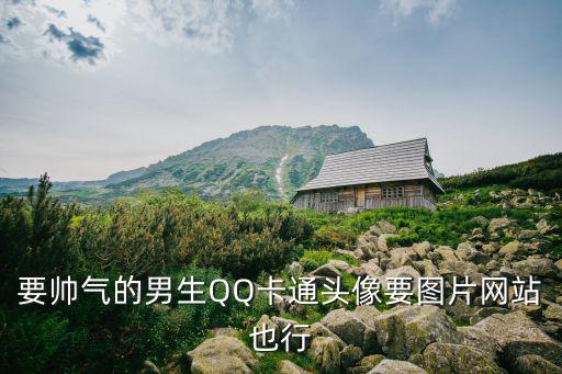 要帥氣的男生QQ卡通頭像要圖片網站也行