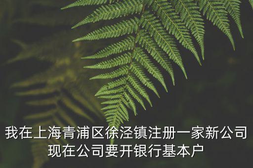 我在上海青浦區徐涇鎮注冊一家新公司現在公司要開銀行基本戶