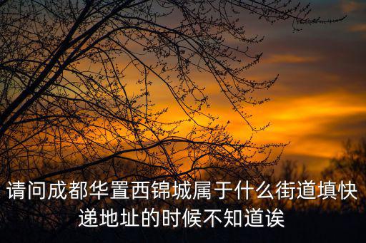 請問成都華置西錦城屬于什么街道填快遞地址的時候不知道誒