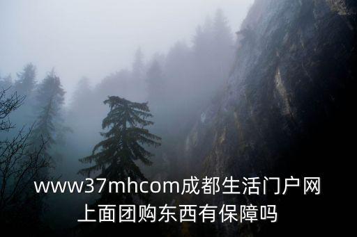 成都市人民防空辦公室網，中國網庫httpwww99114com成都運營中心怎么樣