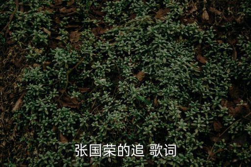 張國榮的追 歌詞
