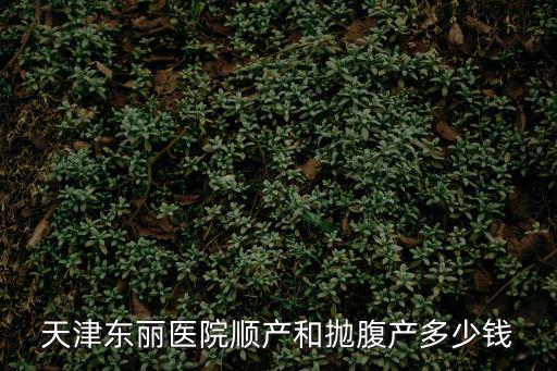 天津東麗醫院順產和拋腹產多少錢