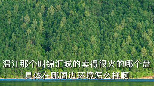溫江那個(gè)叫錦匯城的賣(mài)得很火的哪個(gè)盤(pán)具體在哪周邊環(huán)境怎么樣啊