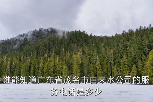 誰能知道廣東省茂名市自來水公司的服務電話是多少