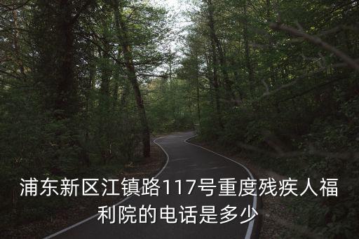 浦東新區江鎮路117號重度殘疾人福利院的電話是多少