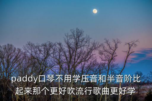 paddy口琴，paddy口琴不用學壓音和半音階比起來那個更好吹流行歌曲更好學