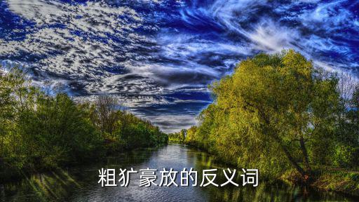 粗獷豪放的反義詞