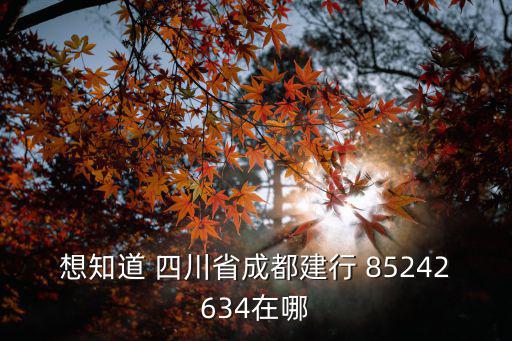 成都市建行辦ETC網點，建行網點