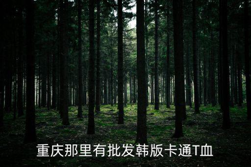 重慶那里有批發(fā)韓版卡通T血