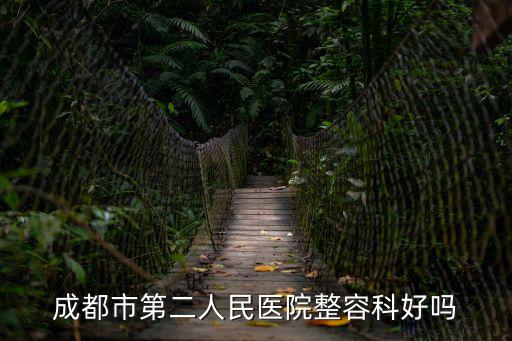 成都市第二人民醫院龍潭醫院何時能竣工，成都市第二人民醫院