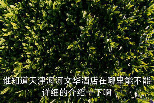 誰知道天津海河文華酒店在哪里能不能詳細(xì)的介紹一下啊