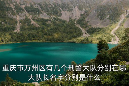 2017重慶市刑偵隊(duì)長，案發(fā)現(xiàn)場(chǎng)2中兩位刑偵隊(duì)長合作過某個(gè)案子沒有