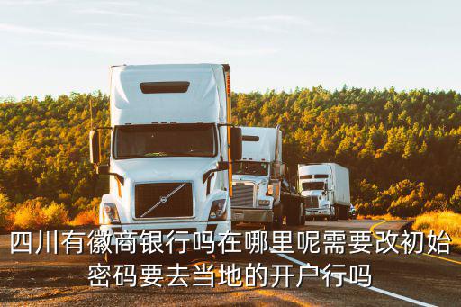 四川有徽商銀行嗎在哪里呢需要改初始密碼要去當地的開戶行嗎
