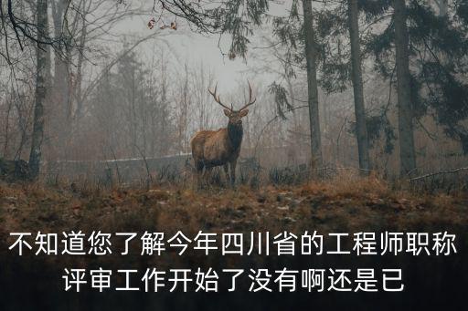 不知道您了解今年四川省的工程師職稱評審工作開始了沒有啊還是已
