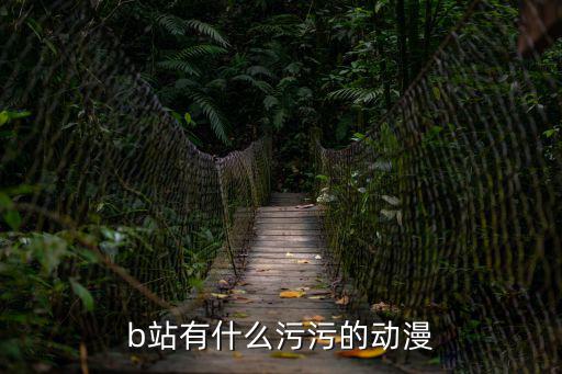 污二次元，二次元中的污是什么意思