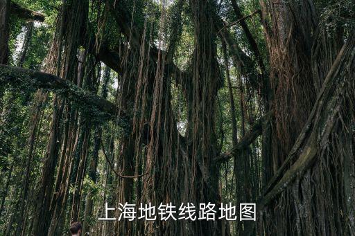 上海地鐵線路地圖