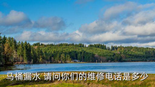 馬桶漏水 請問你們的維修電話是多少