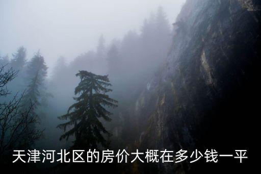 天津河北區的房價大概在多少錢一平