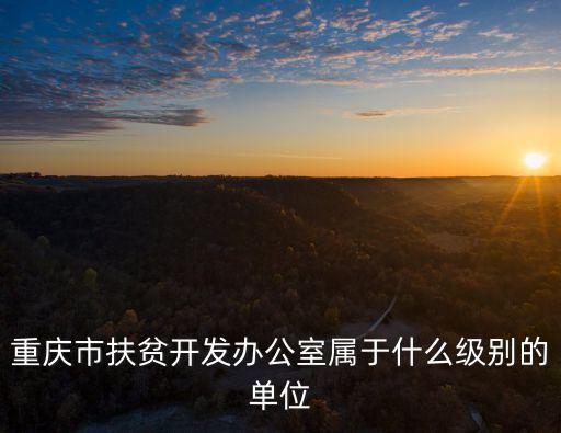 重慶市扶貧集團，重慶扶貧本怎么查