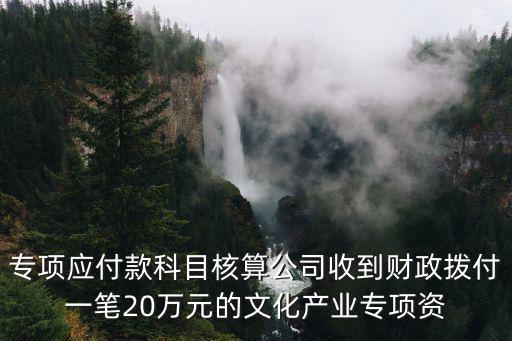 專項應付款科目核算公司收到財政撥付一筆20萬元的文化產業專項資