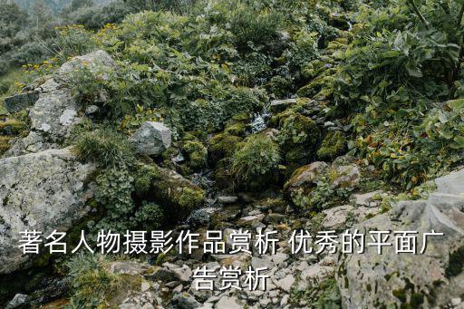 著名人物攝影作品賞析 優秀的平面廣告賞析