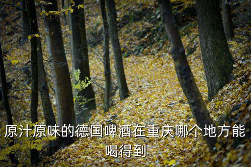 原汁原味的德國啤酒在重慶哪個地方能喝得到