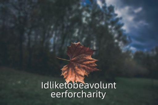 Idliketobeavolunteerforcharity