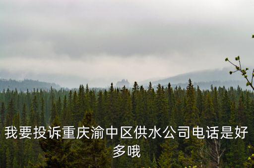 我要投訴重慶渝中區供水公司電話是好多哦