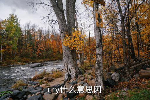 大聲呼救英語，當他們來時便大聲呼救翻成英語是什么