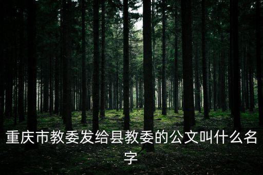 重慶市公文文件，重慶市政府發出的文件 網上哪里可以查到
