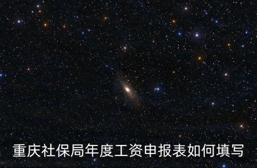 重慶社保局年度工資申報表如何填寫