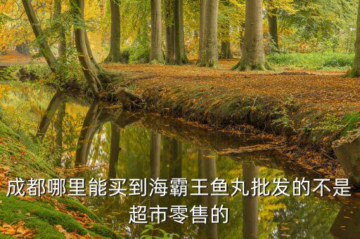 成都市府青路的托班，成都府青路二段1號是什么地方