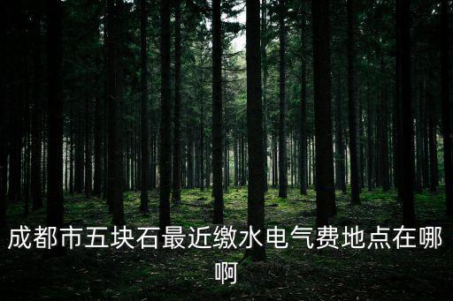 成都市天府新區繳氣費點，成都哪些地方可以交燃氣費