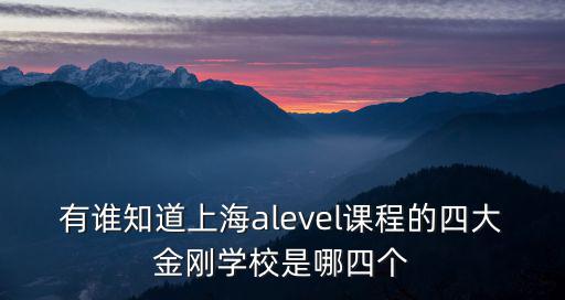 有誰知道上海alevel課程的四大金剛學(xué)校是哪四個
