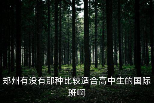 鄭州有沒有那種比較適合高中生的國際班啊