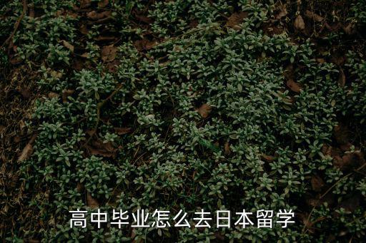 高中畢業怎么去日本留學