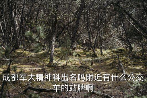 成都市軍大醫(yī)院 精神科力獻(xiàn)，成都軍大醫(yī)院是可靠的嗎精神科怎么樣