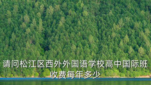 請問松江區(qū)西外外國語學(xué)校高中國際班收費每年多少