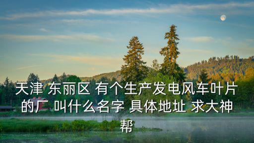天津 東麗區(qū) 有個(gè)生產(chǎn)發(fā)電風(fēng)車葉片的廠 叫什么名字 具體地址 求大神幫