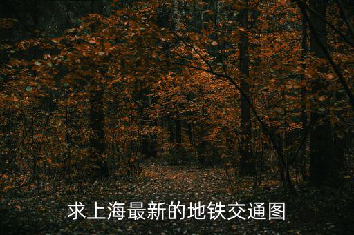 上海地鐵地圖路線全圖，最新的上海軌道交通線路圖