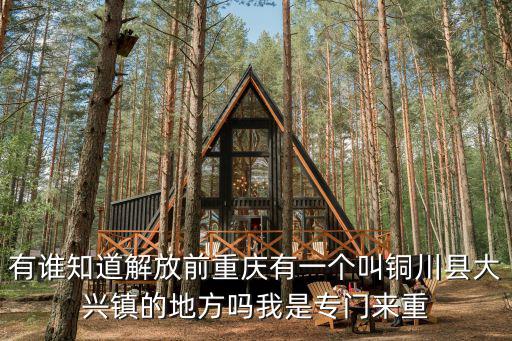 有誰知道解放前重慶有一個叫銅川縣大興鎮的地方嗎我是專門來重