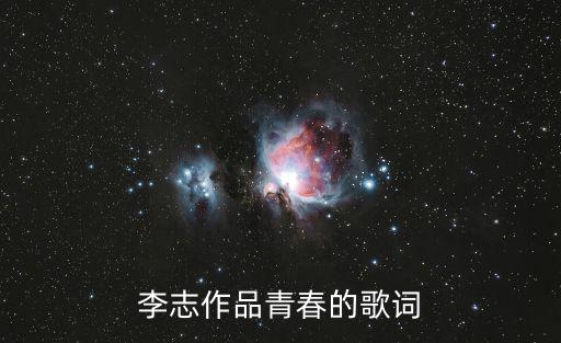 李志作品青春的歌詞