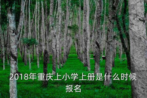 2018年重慶上小學(xué)上冊是什么時候報名