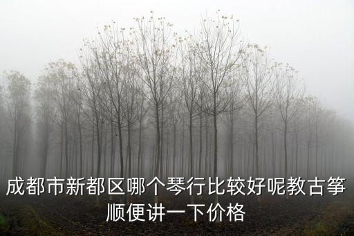 成都市新都區哪個琴行比較好呢教古箏順便講一下價格