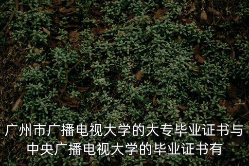 重慶市2020年三基三嚴大比武，武漢最大的寵物交易市場在哪里狗