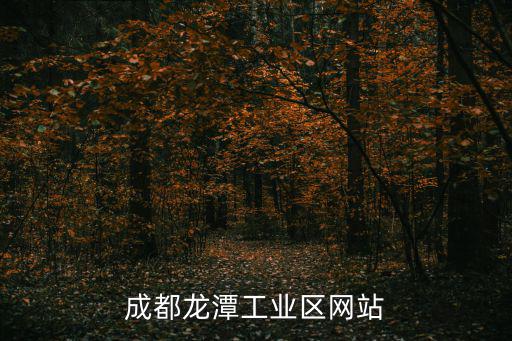 成都龍?zhí)豆I(yè)區(qū)網(wǎng)站