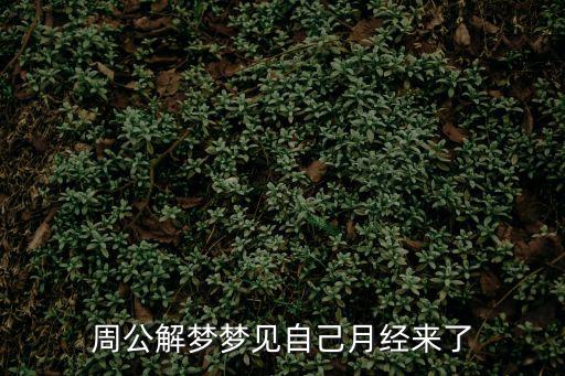 周公解夢夢見自己月經來了