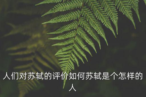 蘇軾評價，對蘇軾作品的評價