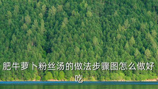 蘿卜粉絲湯，粉絲蘿卜湯怎么做厲煌